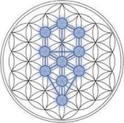 Flower of Life Tree of life